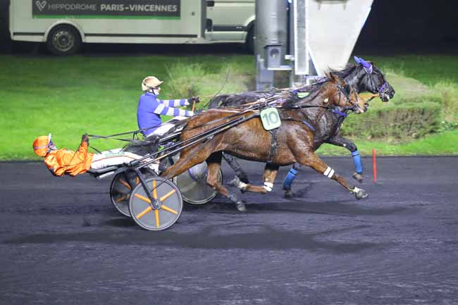 Photo d'arrivée de la course pmu PRIX DE SAULT à PARIS-VINCENNES le Dimanche 1 décembre 2024