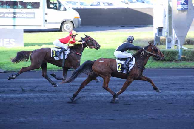 Photo d'arrivée de la course pmu PRIX DE GEMOZAC à PARIS-VINCENNES le Lundi 2 décembre 2024