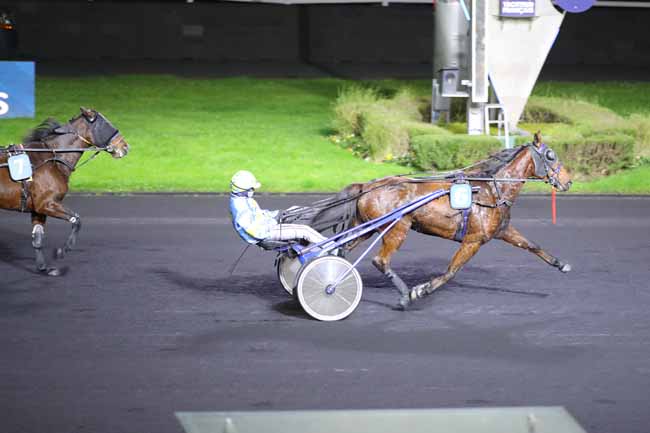 Photo d'arrivée de la course pmu PRIX DE PORTBAIL à PARIS-VINCENNES le Lundi 2 décembre 2024