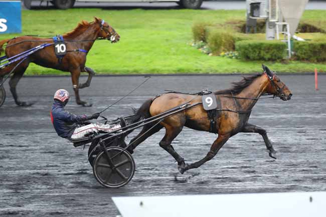 Photo d'arrivée de la course pmu PRIX DES BEGONIAS à PARIS-VINCENNES le Jeudi 5 décembre 2024