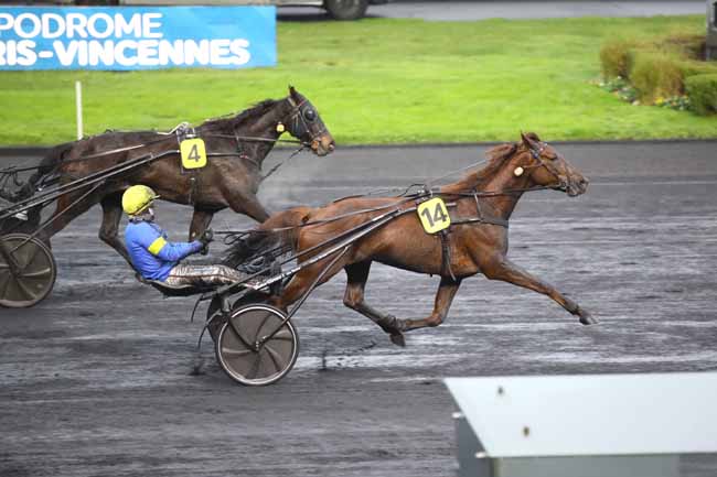 Photo d'arrivée de la course pmu PRIX DE MOULINS à PARIS-VINCENNES le Jeudi 5 décembre 2024