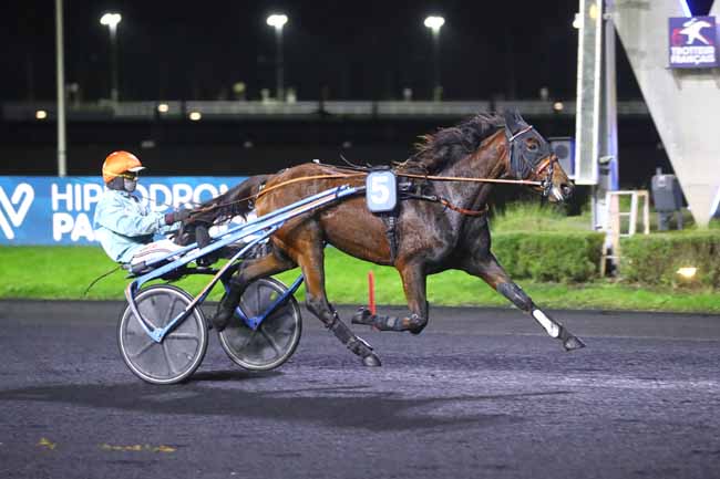 Photo d'arrivée de la course pmu PRIX EDNA à PARIS-VINCENNES le Vendredi 6 décembre 2024