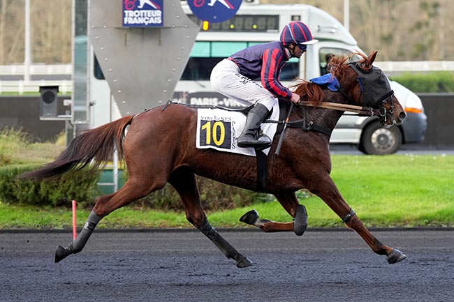 Photo d'arrivée de la course pmu PRIX D'HIESVILLE à PARIS-VINCENNES le Samedi 7 décembre 2024