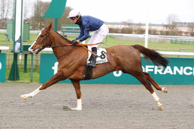 Photo d'arrivée de la course pmu PRIX DE L'ALLEE SANS SOUCI à CHANTILLY le Samedi 7 décembre 2024