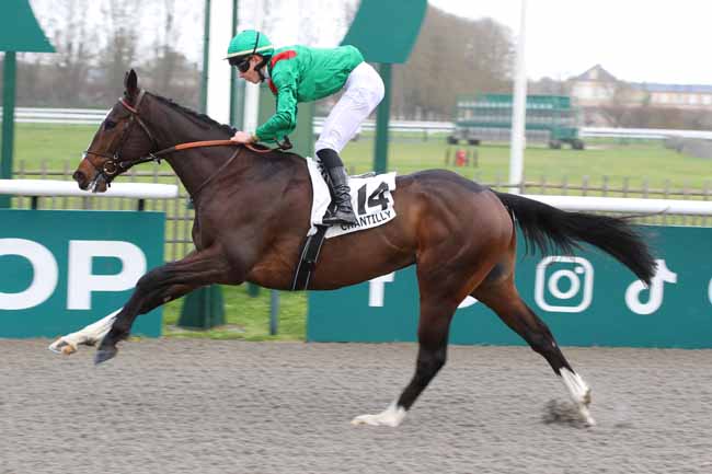 Photo d'arrivée de la course pmu PRIX DE LA BOUCLE D'EN HAUT à CHANTILLY le Samedi 7 décembre 2024