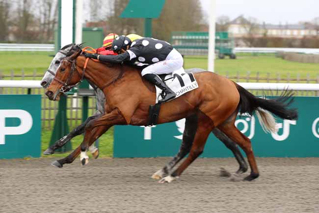 Photo d'arrivée de la course pmu PRIX DU POTEAU DES BRULIS à CHANTILLY le Samedi 7 décembre 2024