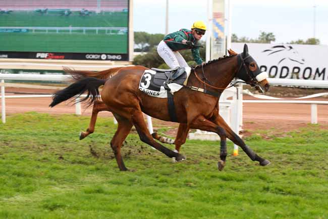 Photo d'arrivée de la course pmu PRIX DU COL DE FENESTRE à CAGNES-SUR-MER le Lundi 9 décembre 2024