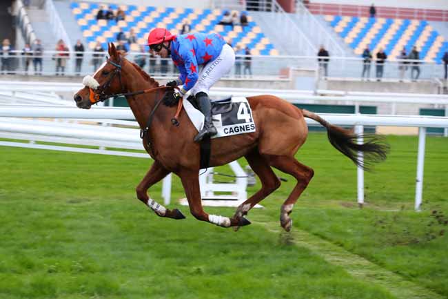 Photo d'arrivée de la course pmu PRIX DE L'AUTHION à CAGNES-SUR-MER le Lundi 9 décembre 2024