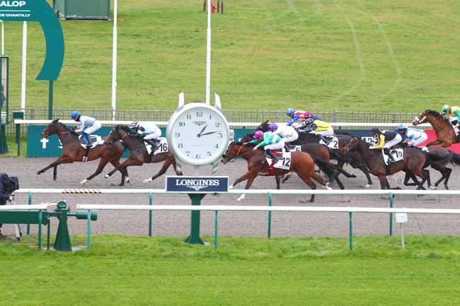 Photo d'arrivée de la course pmu PRIX DE LA PISTE D'AVILLY à CHANTILLY le Mardi 10 décembre 2024
