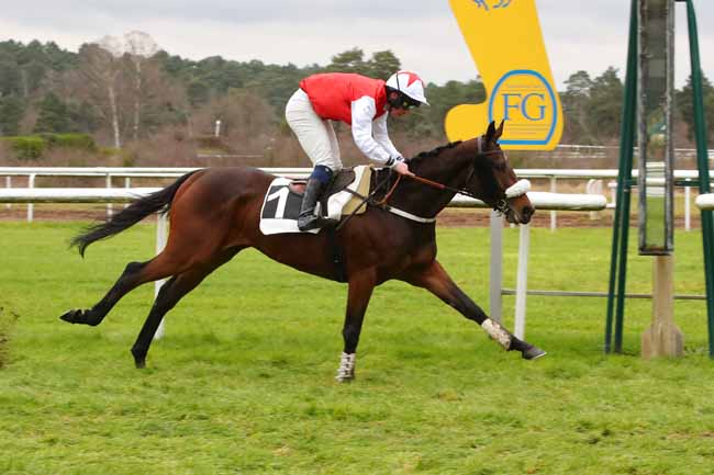 Photo d'arrivée de la course pmu PRIX DES ROSEAUX à FONTAINEBLEAU le Mardi 10 décembre 2024