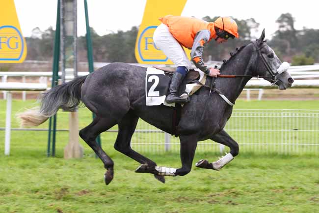Photo d'arrivée de la course pmu PRIX DU FER A CHEVAL à FONTAINEBLEAU le Mardi 10 décembre 2024
