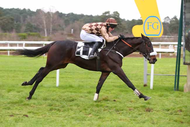 Photo d'arrivée de la course pmu PRIX DE LA VILLE D'AVON à FONTAINEBLEAU le Mardi 10 décembre 2024
