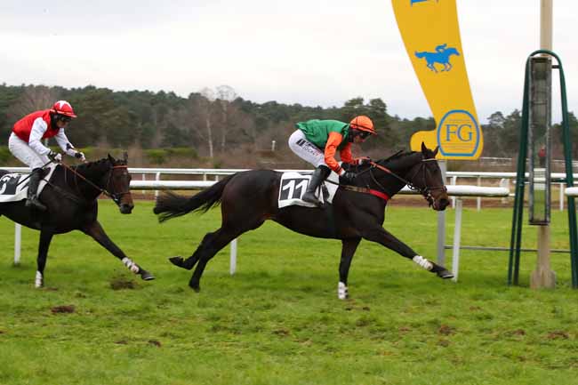 Photo d'arrivée de la course pmu PRIX DU LANCER à FONTAINEBLEAU le Mardi 10 décembre 2024