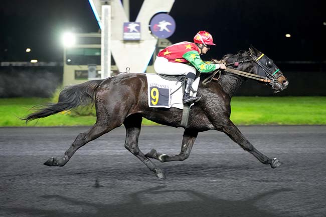 Photo d'arrivée de la course pmu PRIX DE SEICHES-SUR-LE-LOIR à PARIS-VINCENNES le Mardi 10 décembre 2024