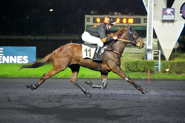 Photo d'arrivée de la course pmu PRIX DE GEX à PARIS-VINCENNES le Mardi 10 décembre 2024