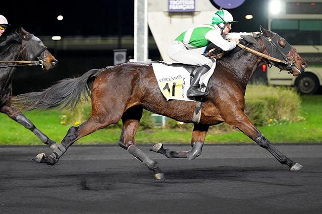 Photo d'arrivée de la course pmu PRIX DE MARANS à PARIS-VINCENNES le Jeudi 12 décembre 2024