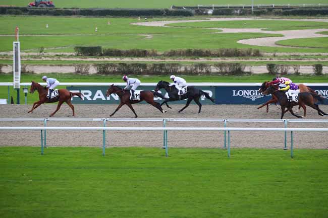 Photo d'arrivée de la course pmu PRIX DU PETIT GUE à DEAUVILLE le Vendredi 13 décembre 2024