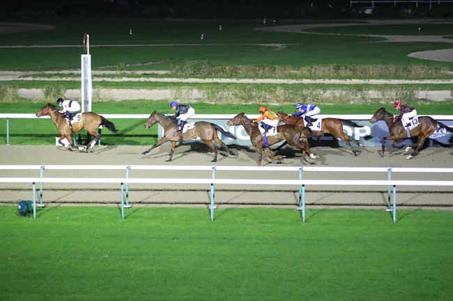 Photo d'arrivée de la course pmu PRIX DES CHAUMIERES à DEAUVILLE le Vendredi 13 décembre 2024