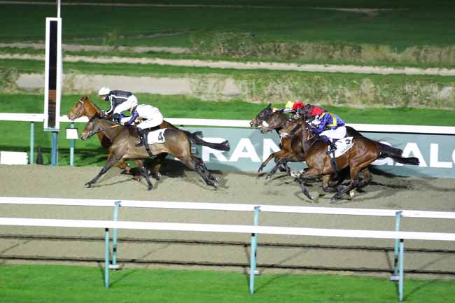 Photo d'arrivée de la course pmu PRIX DE PUTANGES à DEAUVILLE le Samedi 14 décembre 2024