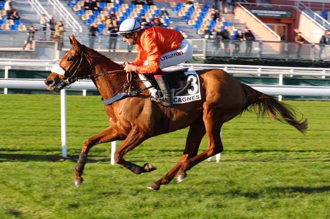 Photo d'arrivée de la course pmu PRIX DE CAMBRIDGE à CAGNES-SUR-MER le Lundi 16 décembre 2024