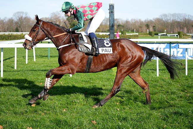 Photo d'arrivée de la course pmu PRIX PAUL FOURNIER à PAU le Mardi 17 décembre 2024