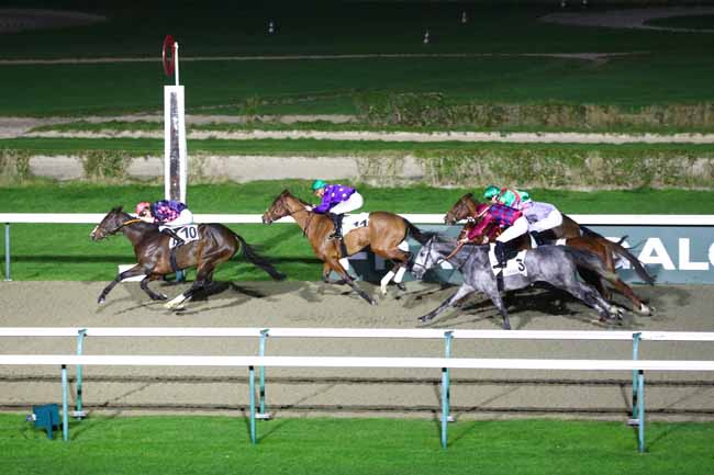 Photo d'arrivée de la course pmu PRIX DU HOGUENET à DEAUVILLE le Mercredi 18 décembre 2024