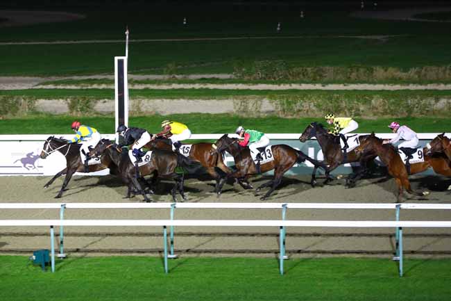 Photo d'arrivée de la course pmu PRIX DU MASSIF ARMORICAIN à DEAUVILLE le Jeudi 19 décembre 2024