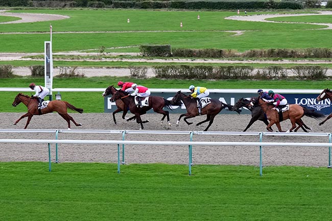 Photo d'arrivée de la course pmu PRIX DE BOURGEAUVILLE à DEAUVILLE le Lundi 23 décembre 2024
