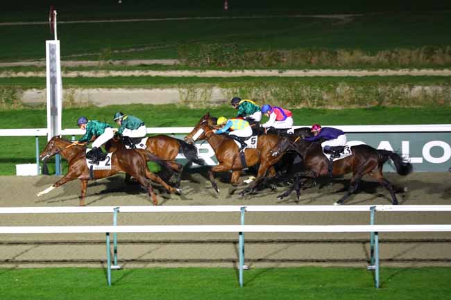 Photo d'arrivée de la course pmu PRIX DE SAINT-VALERY-EN-CAUX à DEAUVILLE le Vendredi 27 décembre 2024