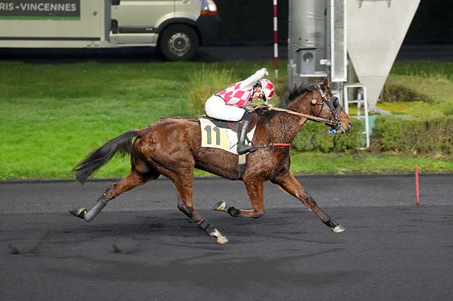 Photo d'arrivée de la course pmu PRIX YVONNICK BODIN à PARIS-VINCENNES le Samedi 28 décembre 2024