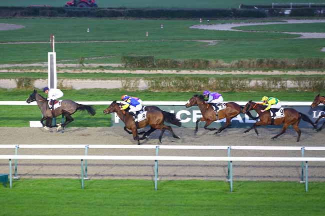 Photo d'arrivée de la course pmu PRIX DE MORTAGNE-AU-PERCHE à DEAUVILLE le Samedi 28 décembre 2024