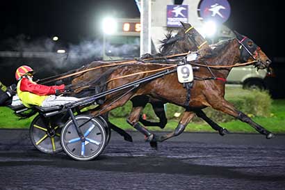 Photo d'arrivée de la course pmu PRIX DE PITHIVIERS à PARIS-VINCENNES le Mardi 31 décembre 2024