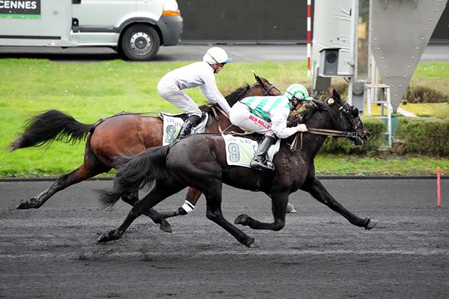 Photo d'arrivée de la course pmu PRIX DE MENDE à PARIS-VINCENNES le Mardi 31 décembre 2024