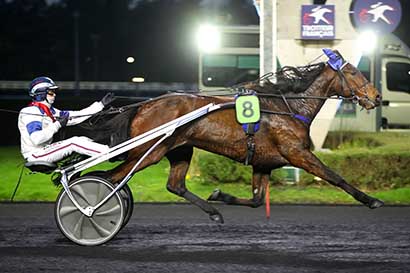 Photo d'arrivée de la course pmu PRIX DE LOUVIGNE-DU-DESERT à PARIS-VINCENNES le Mardi 31 décembre 2024