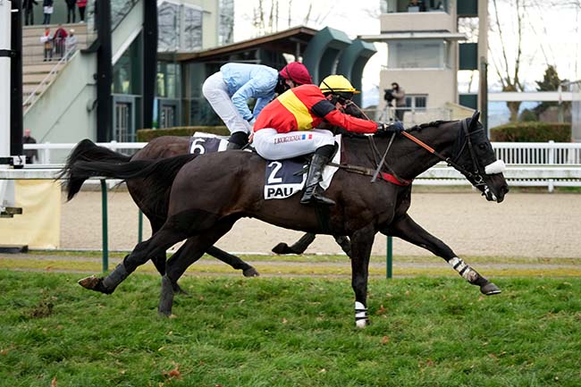 Photo d'arrivée de la course pmu PRIX D'OSSAU à PAU le Jeudi 2 janvier 2025