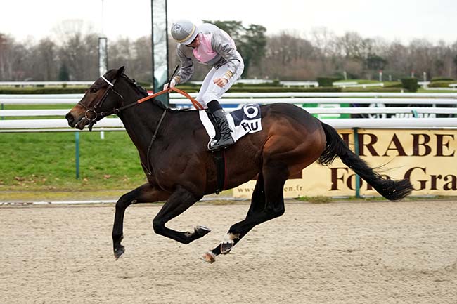 Photo d'arrivée de la course pmu PRIX D'IROULEGUY à PAU le Jeudi 2 janvier 2025