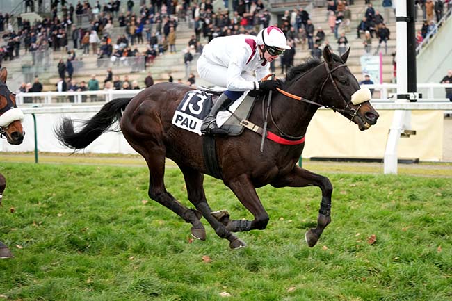 Arrivée quinté pmu PRIX EQUIDIA (PRIX PIERRE ESTREM REY) à PAU