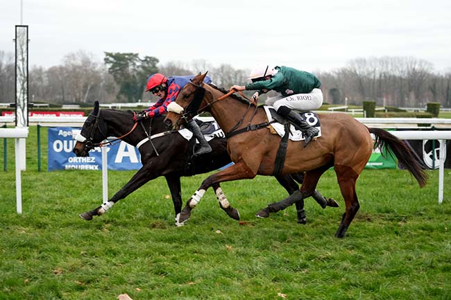 Photo d'arrivée de la course pmu PRIX PAUL LARREGAIN à PAU le Jeudi 2 janvier 2025