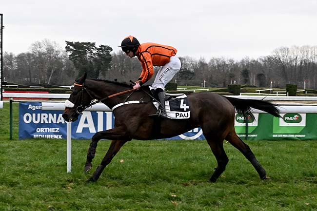Photo d'arrivée de la course pmu PRIX EL TRIUNFO à PAU le Jeudi 2 janvier 2025