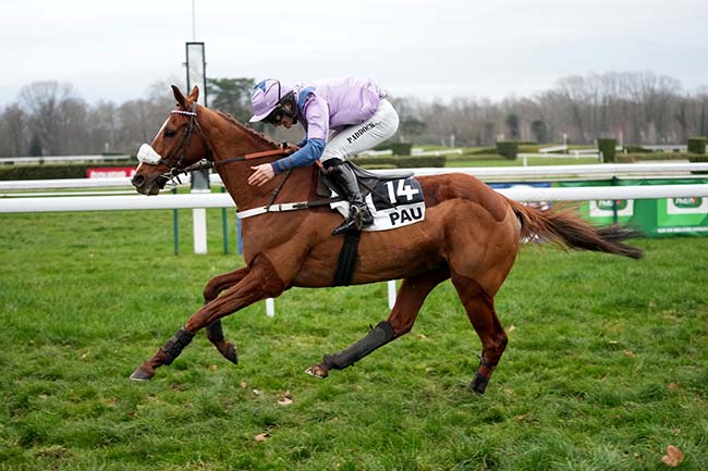 Photo d'arrivée de la course pmu PRIX JOSEPH BARRON à PAU le Jeudi 2 janvier 2025