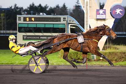 Photo d'arrivée de la course pmu PRIX D'EPINAL à PARIS-VINCENNES le Vendredi 3 janvier 2025