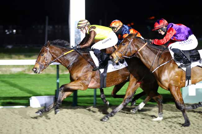 Photo d'arrivée de la course pmu PRIX DE LA SEULLES à DEAUVILLE le Vendredi 3 janvier 2025