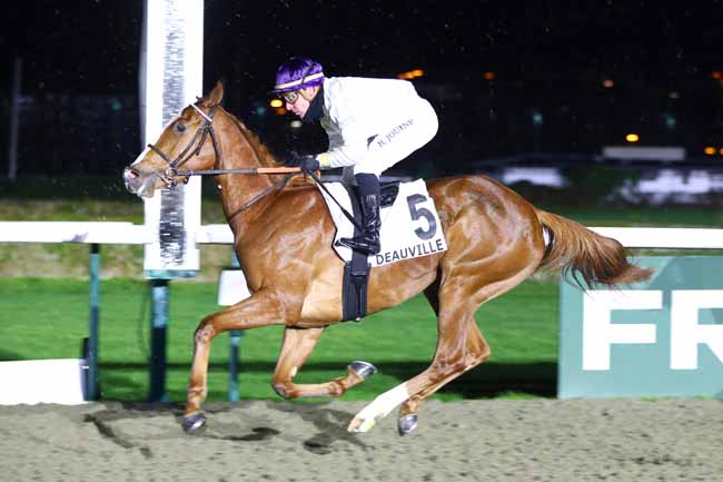 Photo d'arrivée de la course pmu PRIX DES CASCADES DE MORTAIN à DEAUVILLE le Samedi 4 janvier 2025