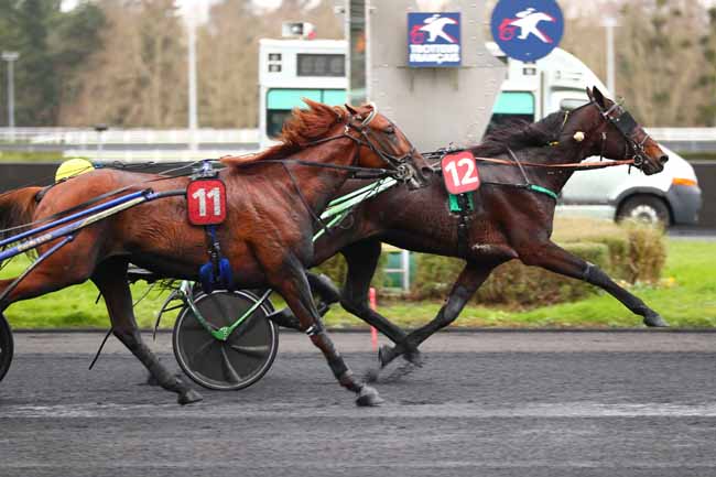 Photo d'arrivée de la course pmu PRIX CHARLES TIERCELIN à PARIS-VINCENNES le Dimanche 5 janvier 2025