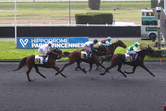Photo d'arrivée de la course pmu PRIX DE CHEVERNY à PARIS-VINCENNES le Lundi 6 janvier 2025