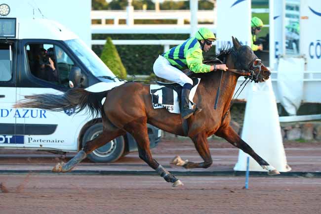 Photo d'arrivée de la course pmu PRIX HULK DE GODISSON à CAGNES-SUR-MER le Jeudi 9 janvier 2025