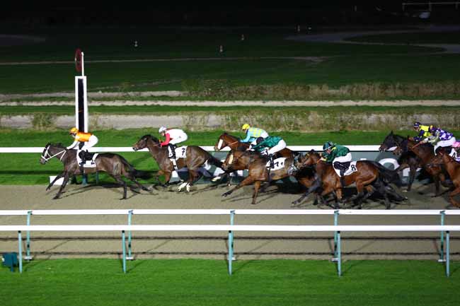 Photo d'arrivée de la course pmu PRIX DE L'EGLISE SAINT-JOSEPH à DEAUVILLE le Vendredi 10 janvier 2025