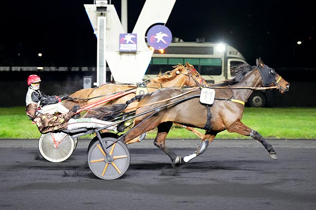 Photo d'arrivée de la course pmu PRIX DE LA MOSELLE à PARIS-VINCENNES le Vendredi 10 janvier 2025