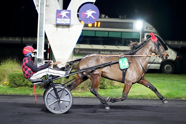 Photo d'arrivée de la course pmu PRIX DE MARVEJOLS à PARIS-VINCENNES le Vendredi 10 janvier 2025