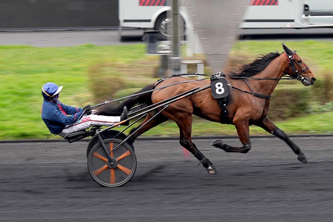 Photo d'arrivée de la course pmu PRIX RMC (PRIX DE NAUCELLES) à PARIS-VINCENNES le Dimanche 12 janvier 2025